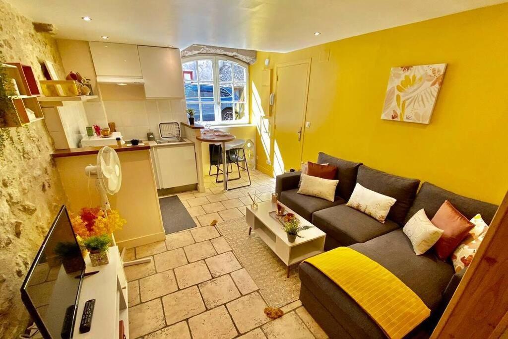Cocon De Douceur : Apaisement Et Harmonie Intérieure Appartement Blois